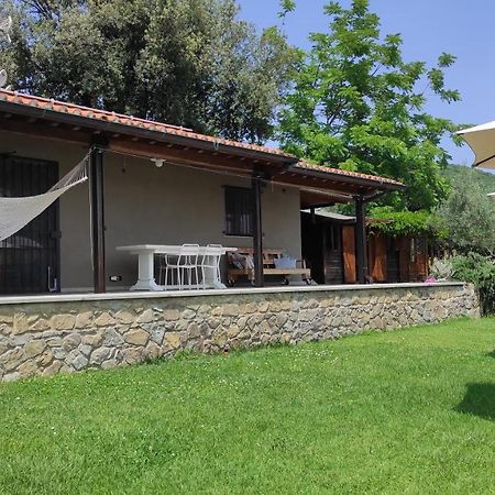 B&B La Casina Di Iris Arezzo Ngoại thất bức ảnh
