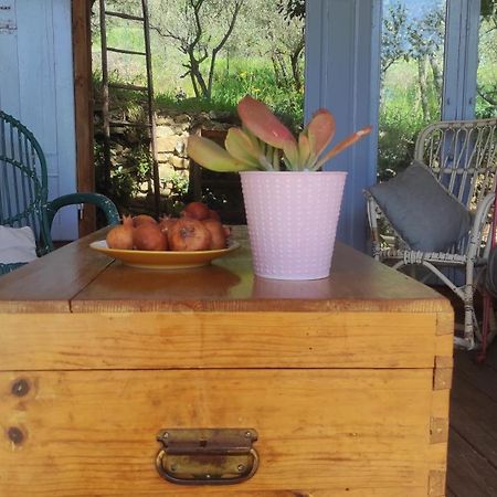 B&B La Casina Di Iris Arezzo Ngoại thất bức ảnh