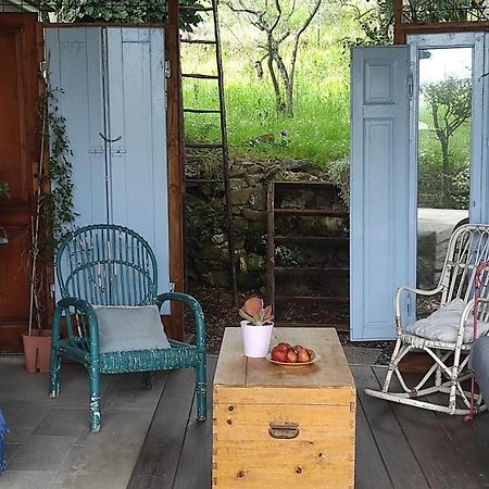 B&B La Casina Di Iris Arezzo Ngoại thất bức ảnh