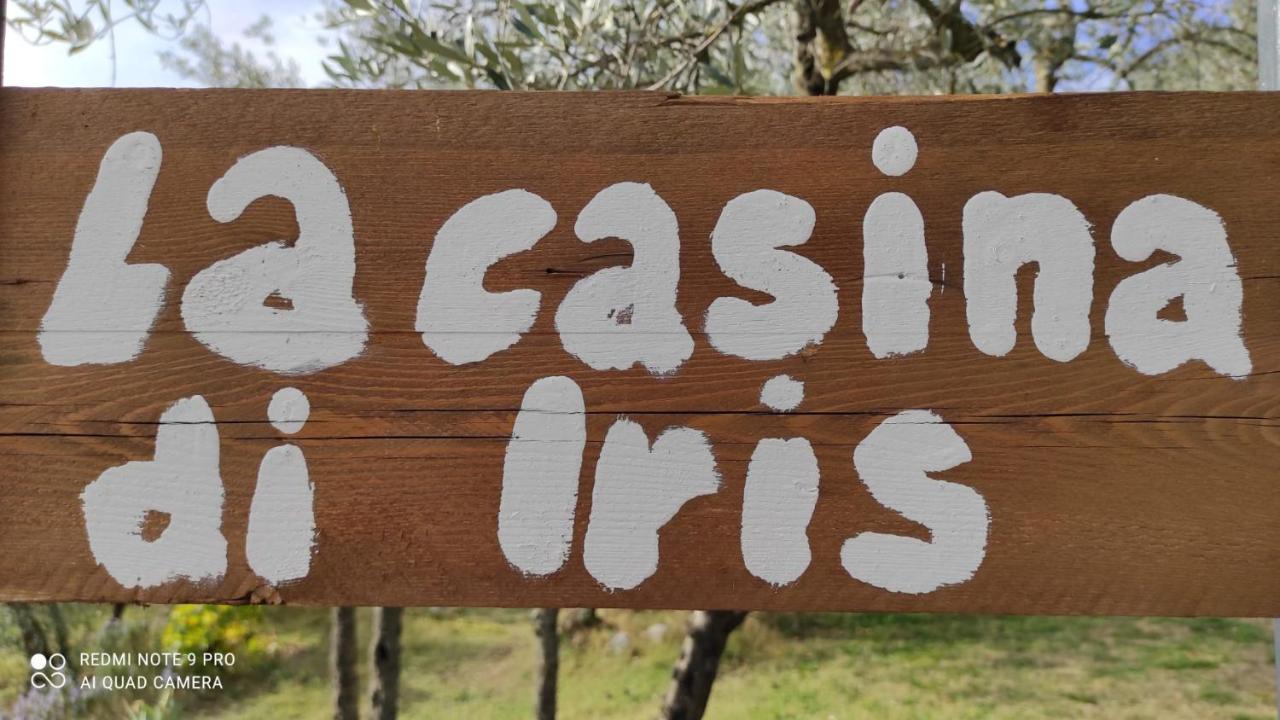 B&B La Casina Di Iris Arezzo Ngoại thất bức ảnh