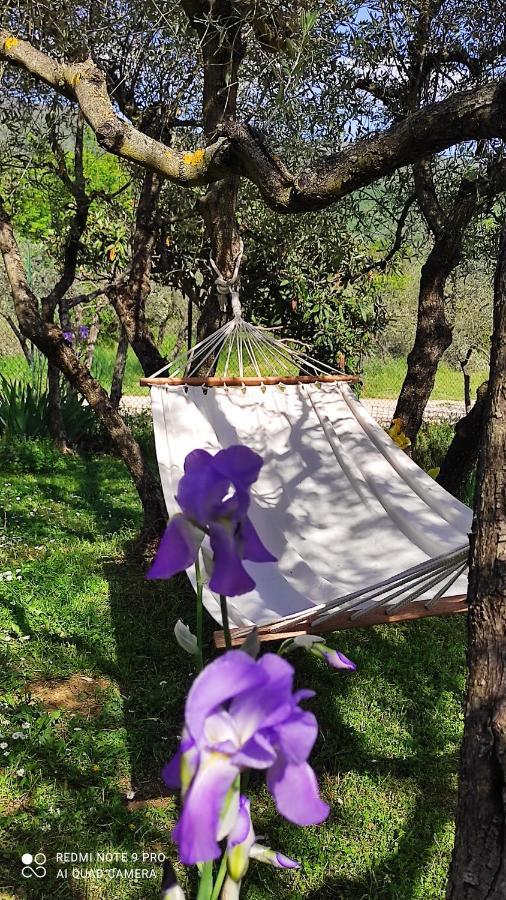 B&B La Casina Di Iris Arezzo Ngoại thất bức ảnh
