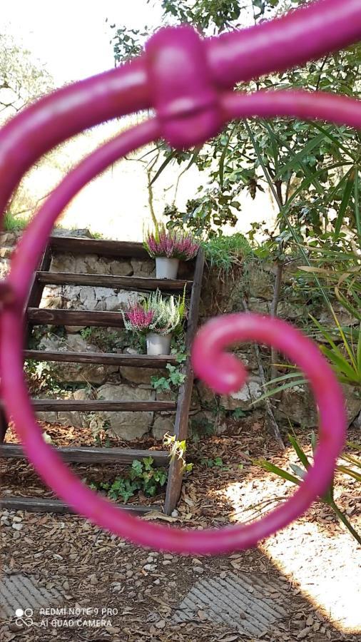 B&B La Casina Di Iris Arezzo Ngoại thất bức ảnh