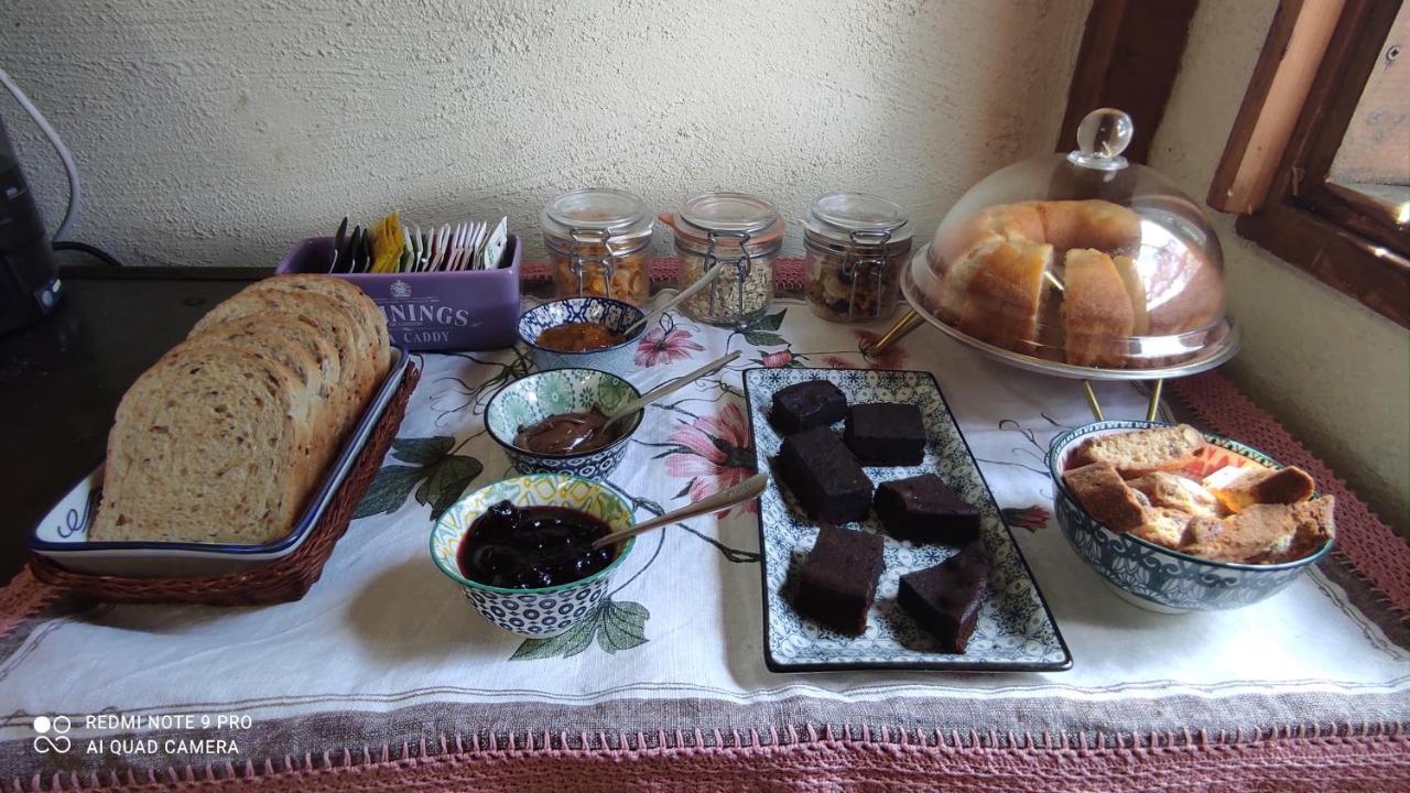 B&B La Casina Di Iris Arezzo Ngoại thất bức ảnh