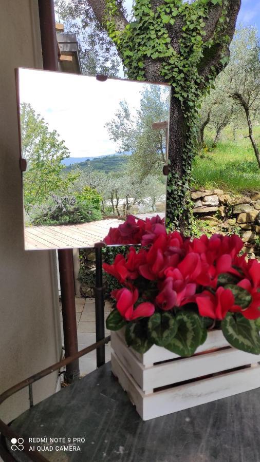 B&B La Casina Di Iris Arezzo Ngoại thất bức ảnh