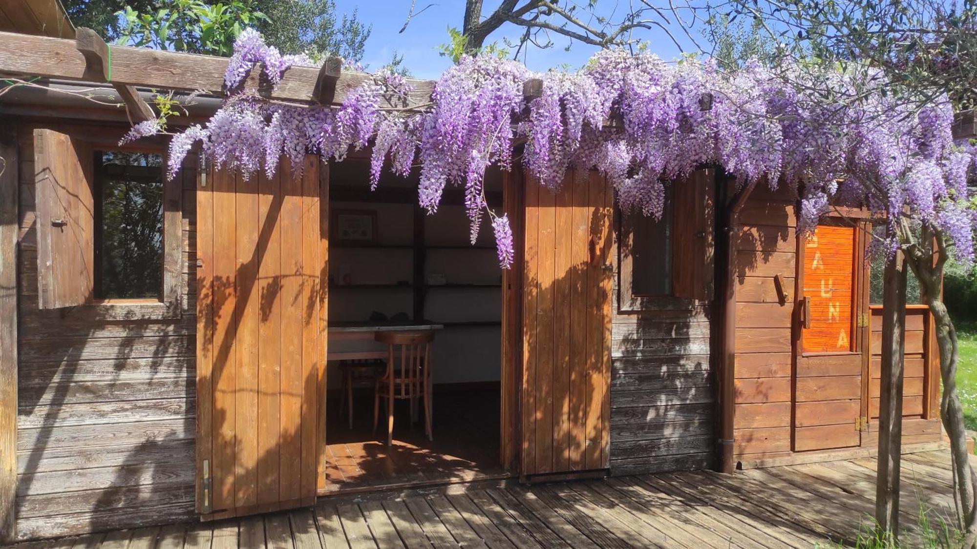 B&B La Casina Di Iris Arezzo Ngoại thất bức ảnh
